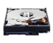 תמונה של דיסק קשיח פנימי 3.5 Western Digital Blue 4TB SATA6 Gb/s 256MB