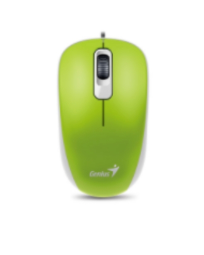 תמונה של 31010010409 Genius DX-120 Green