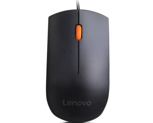 תמונה של LENOVO 300 USB MOUSE